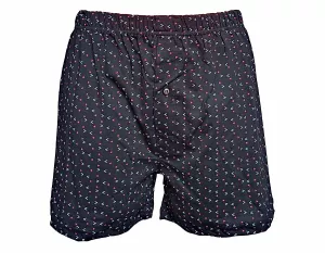 Pánské trenýrky Molvy 100% Bavlna DC-002